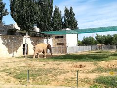 -石家庄市动物园