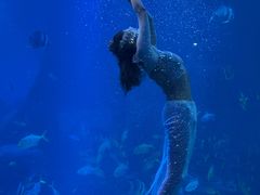 -太平洋海底世界