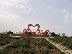 -西京湾花海