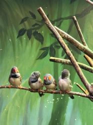 -Zoolung Zoolung动物主题公园(海信广场店)