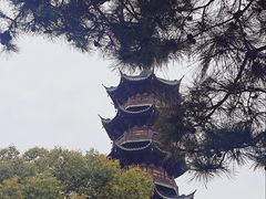 -龙华素斋(龙华路店)