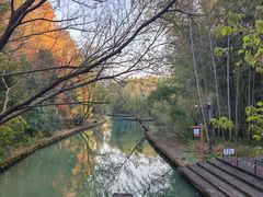 -同里国家湿地公园