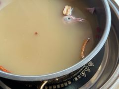 -鸽鸟轩(石岐店)