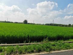 -嘉北郊野公园