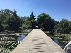 -白马涧龙池景区