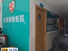 -乐琪宠物医院·犬猫专科·骨外科·急重症