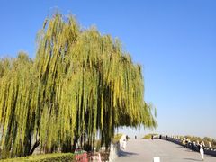 -西海子公园