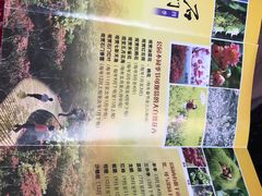 -广州市石门国家森林公园
