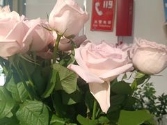 -双季花艺园艺市场(浦东店)