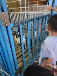 -小蜜蜂农场(凯德七宝购物广场店)