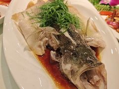 -周锦记广式餐厅