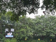 -广州长隆飞鸟乐园