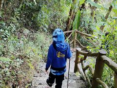 -海南热带雨林国家公园吊罗山景区