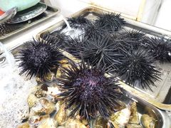 -板桥海鲜广场(文明东店)