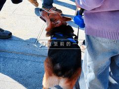 -二沙岛艺术公园