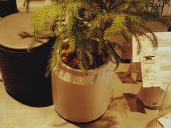 大堂-Seesaw Coffee(上生新所店)