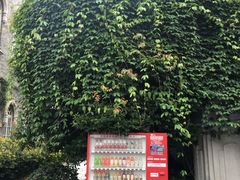 -汪玉霞(汉口里店)