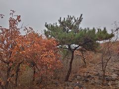 -北京十三陵国家森林公园蟒山景区