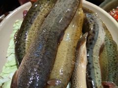 -四小区火锅·巷子里的重庆火锅(花照壁店)