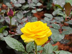 -人民公园(罗湖区)