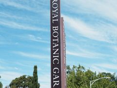 -墨尔本皇家植物园