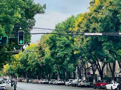 -黑皮酸菜鱼(三山街店)