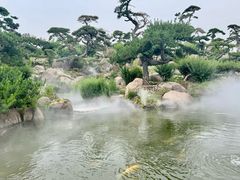 -罗红摄影艺术馆