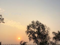 -宝安西湾红树林湿地公园