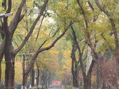 -山东大学(趵突泉校区)