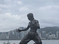 -星光大道