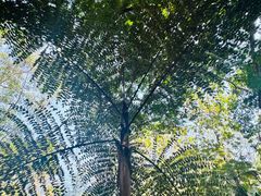 -中国科学院西双版纳热带植物园