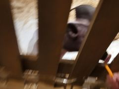 -屋虎猫馆(宝安大仟里店)