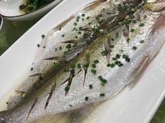 -大鸿运酒店·苏州菜·松鼠桂鱼(观前街店)