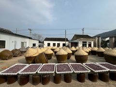 -苏州市吴中区光福窑上花果蜜饯厂