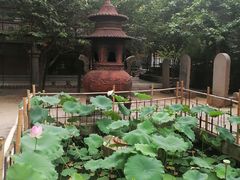 -罔极寺