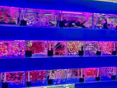 -三旗百汇商品城