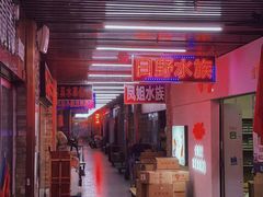 -中环花鸟鱼虫市场