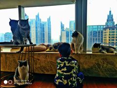 -Catmate·猫肥家润(金润铂宫店)
