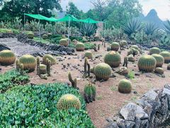 -Club Med地中海俱乐部·桂林度假村