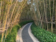 -美的鹭湖森林度假区