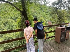 -野象谷景区