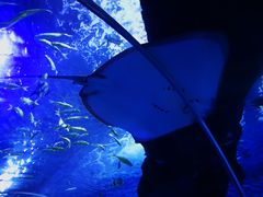 -多彩贵州城极地海洋世界