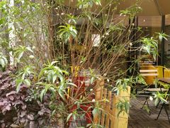 -咖法森林·咖啡  酒吧(天河店)