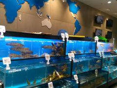 水产区-盒马鲜生(王府广场店)