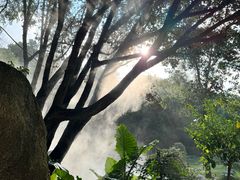 -深圳国际园林花卉博览园