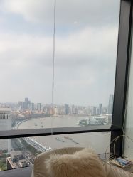 -智美品质医美