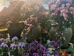 -双季花艺园艺市场(浦东店)