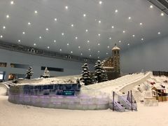 -哈尔滨热雪奇迹