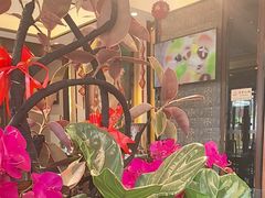 -津菜宋记老房子(鼓楼店)