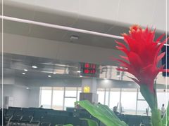 -星巴克(海口美兰机场分店)